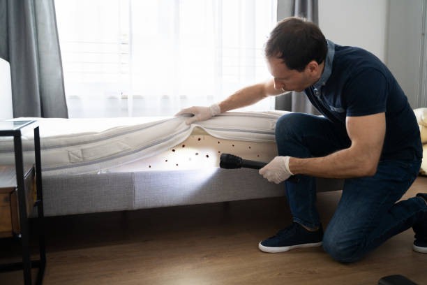 Technician inspecting for bed bugs