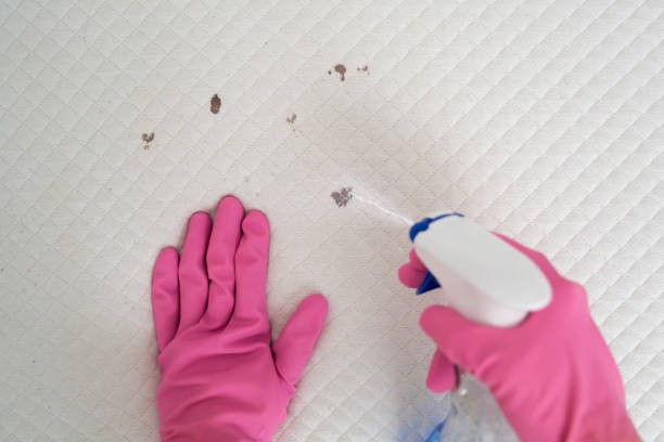 As the #1 bed bug exterminator, we make things easy for you and your loved ones.