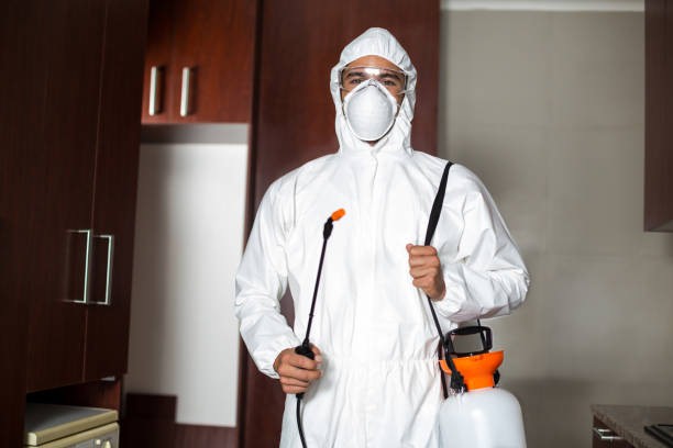 Effective Pest Control Solutions