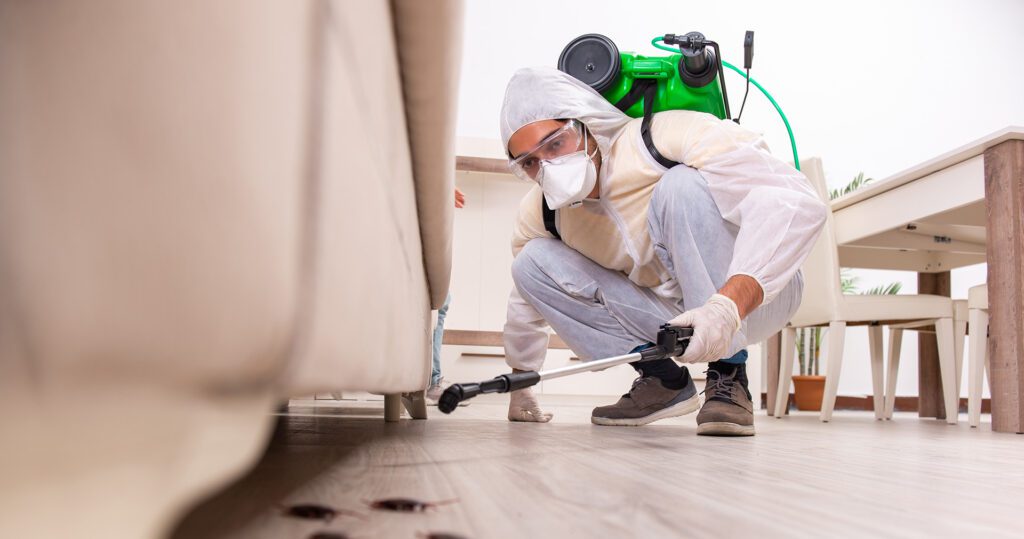 How Much Is pest control in Vaughan
