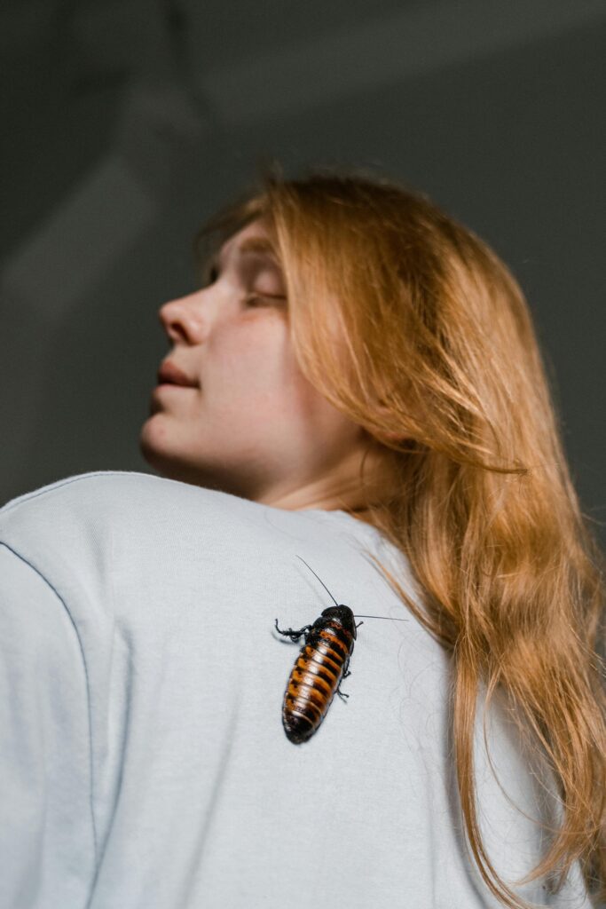 Oakville's number one solution for cockroaches