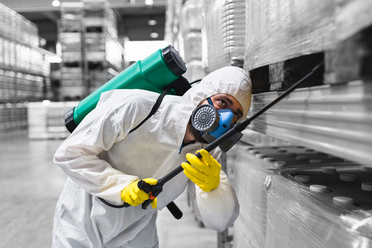 Are bed bugs due to poor hygiene?
