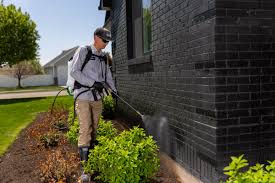 Pest control Etibicoke