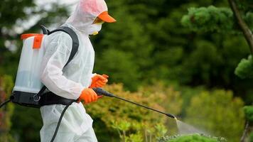 Commercial Pest Control Thornhill Businesses Rely On